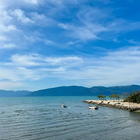 Shehu * Zvernec